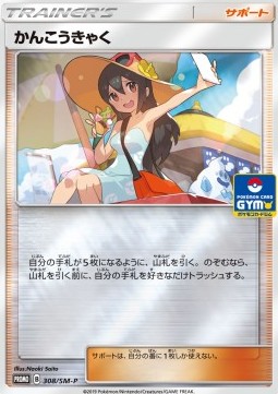Sightseer (SM-P 308)