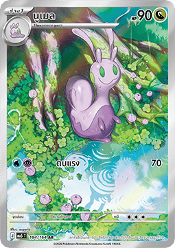Sliggoo  (MA5 184)
