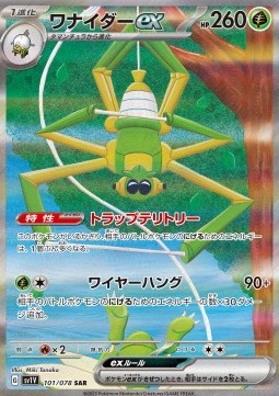 Spidops ex  (sv1V 101)