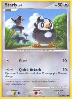 Starly Lv.8  (POP6 16)