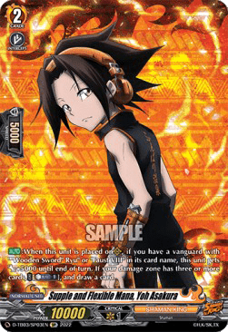 Supple and Flexible Mana, Yoh Asakura [D Format] (V.3 - Special Parallel)
