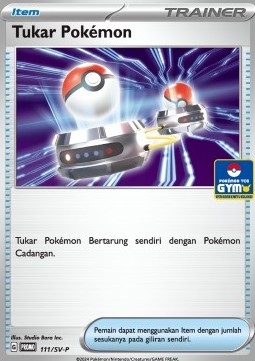 Switch (SV-P/ID 111)
