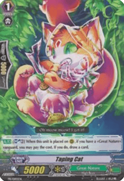 Taping Cat [G Format]