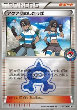 Team Aqua Grunt (XY-P 119)