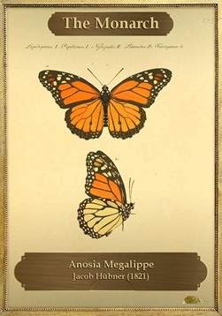 The Monarch (V.1)