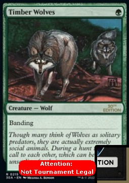 Timber Wolves (V.1)