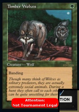 Timber Wolves (V.2)