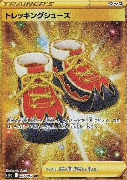 Trekking Shoes (s10D 087)