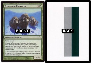 Troupeau d'aurochs/Black Border Stripes Filler Card