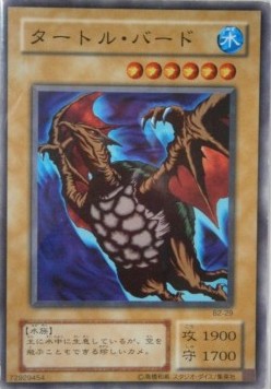 Turtle Bird