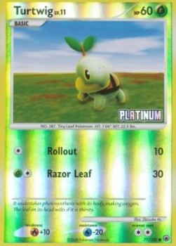 Turtwig Lv.11  (BKPPR MD 77)