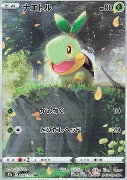 Turtwig  (s12a 206)