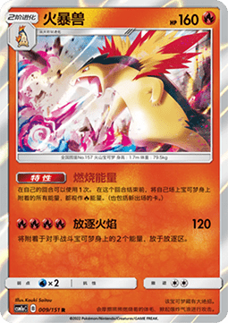 Typhlosion  (CSM1aC 009)