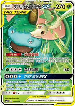 Venusaur & Snivy GX  (CSMPC a001)