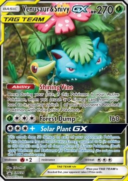Venusaur & Snivy GX  (SM 229)