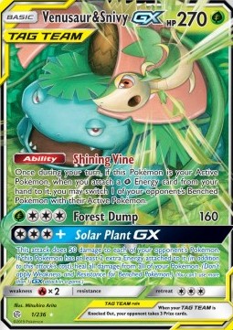 Venusaur & Snivy GX  (CEC 1)