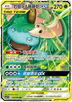 Venusaur & Snivy GX  (CSM2.5C 001)