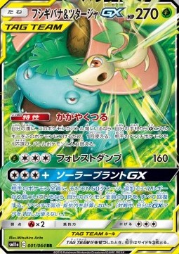Venusaur & Snivy GX  (sm11a 001)