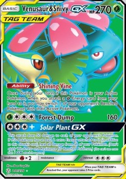 Venusaur & Snivy GX  (CEC 210)