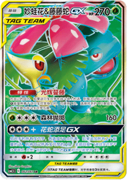 Venusaur & Snivy GX  (CSM2.5C 062)