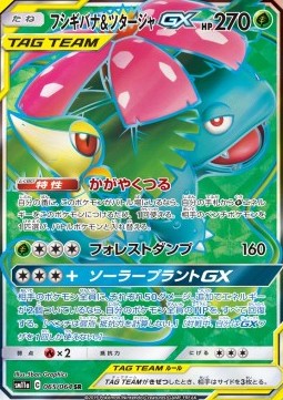 Venusaur & Snivy GX  (sm11a 065)