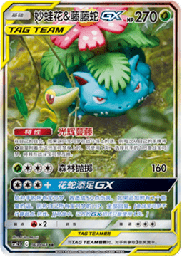 Venusaur & Snivy GX  (CSM2.5C 063)