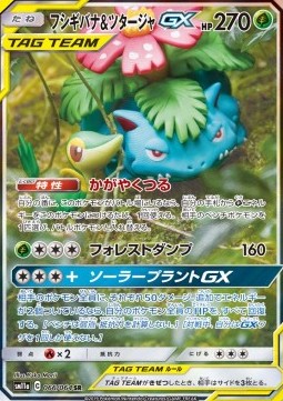 Venusaur & Snivy GX  (sm11a 066)