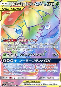 Venusaur & Snivy GX  (sm11a 074)
