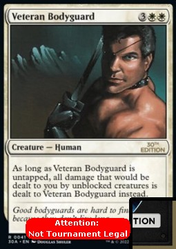 Veteran Bodyguard (V.1)