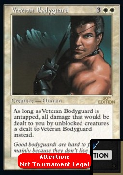 Veteran Bodyguard (V.2)