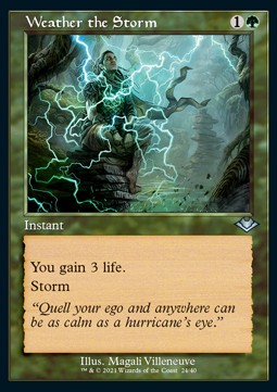 Weather the Storm (V.1)