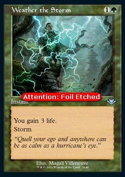 Weather the Storm (V.2)