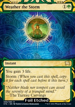 Weather the Storm (V.3)
