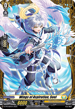 Wings of Aspiration, Soel [D-Format]