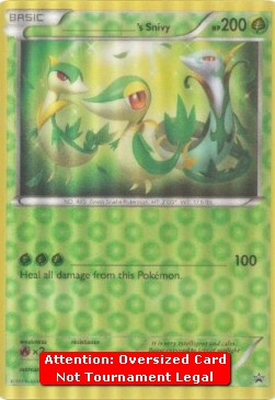 _____'s Snivy (PR)