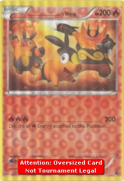 _____'s Tepig (PR)