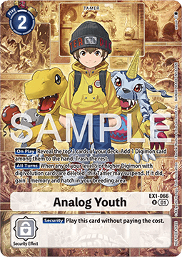 Analog Youth (EX1-066)