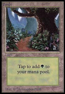 Forest (V.2)