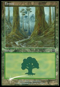 Forest (V.3)