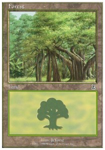 Forest (V.6)