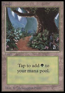 Forest (V.2)