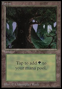 Forest (V.3)