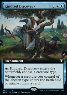 Kindred Discovery