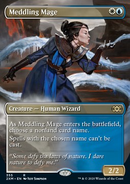 Meddling Mage