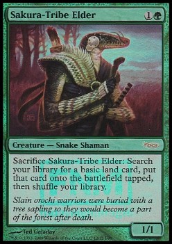 Sakura-Tribe Elder