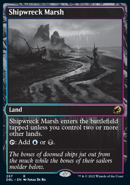 Shipwreck Marsh
