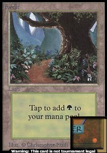 Forest (V.2)