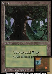 Forest (V.3)