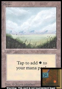 Plains (V.1)