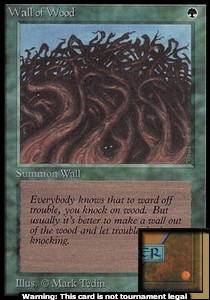 Wall of Wood